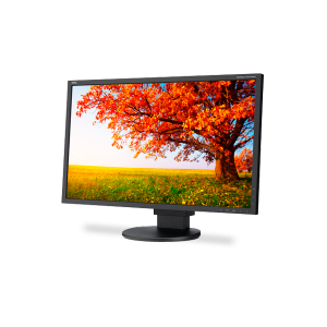 NEC EA224WMI-BK 22" LED-Backlit Widescreen Desktop Monitor With IPS Panel