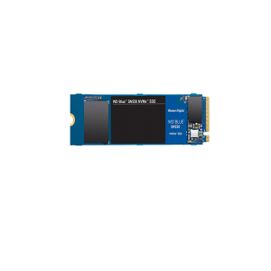 Western Digital WDS250G2B0C Blue SN550 250 GB Solid State Drive 